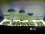 19 year old building