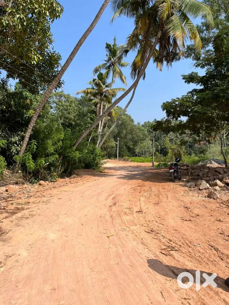 Kulathoor 14 cent for sale