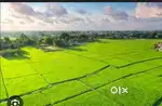 Farm plot for sale in moinabad 1 acres price 15 cr