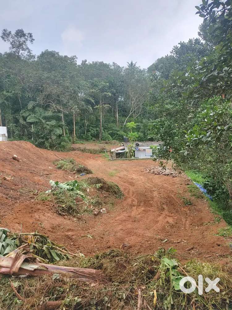 Beautiful and silent plot ideal for family