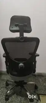 Rolling flexible chair