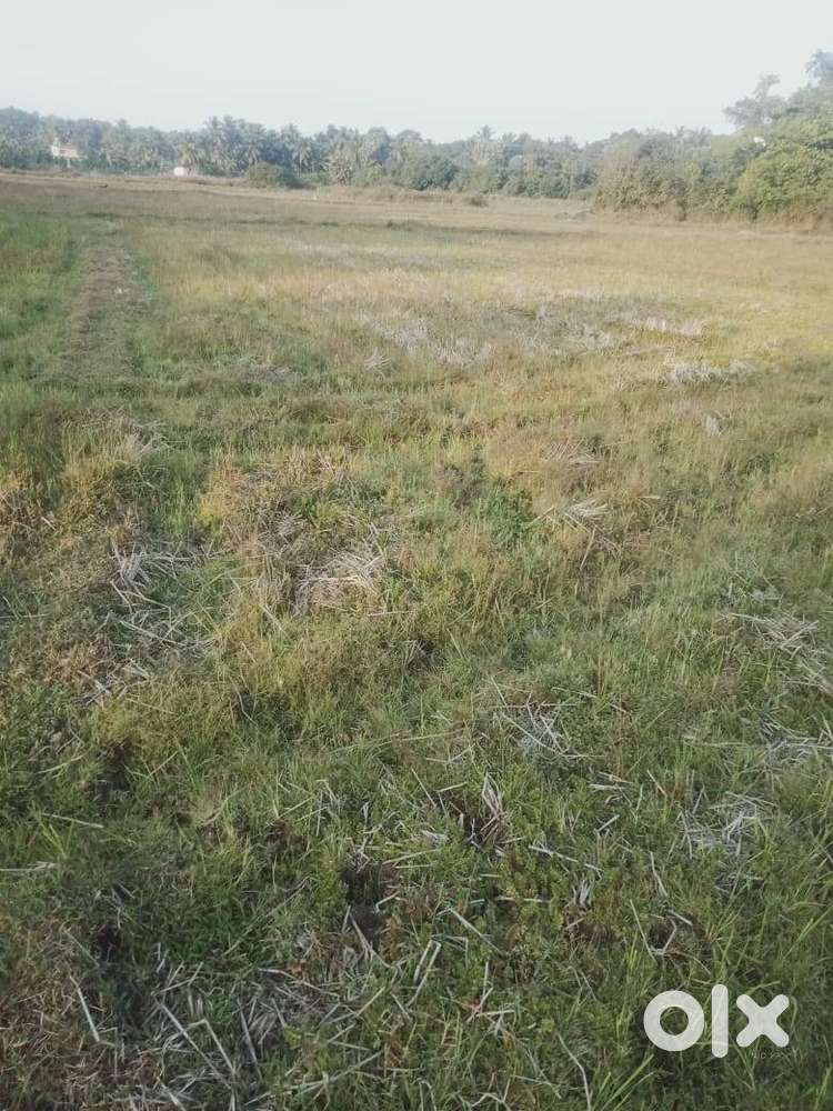 20 Cents land for sale in Korangrapady Udupi