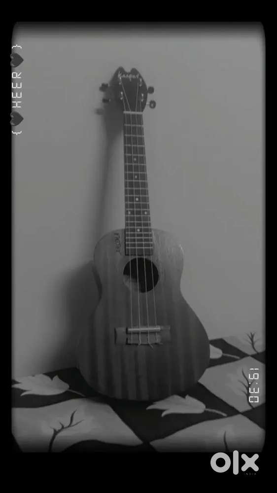 Instrument- ukulele