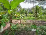 8 cent plot with Nissan access road