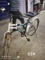 Cycle new hai