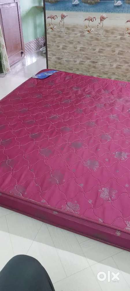 Century Bed Mattress 72×78 inch
