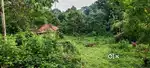 60 cent sthalam muzhuvanayum 30 cent aayum villkapedum