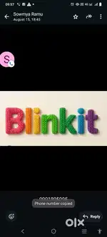 Hiring for raipur blinkit delivery boy job