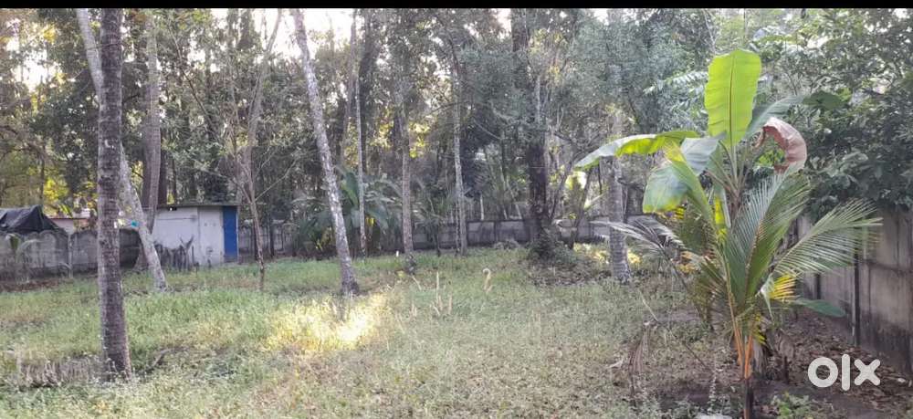 18cent plot for sale by owner.