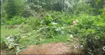 Urgent Land sale খালি জায়গা বিক্রি