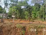 27cent land