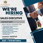 Hiring Sales Executive In Nagpur