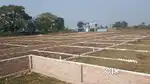 NAUBATPUR BEER FACTORY KE PICHE 139 NH