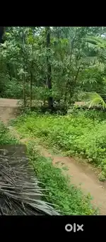 Plot available best suitable for lodging it is located near tarkarli