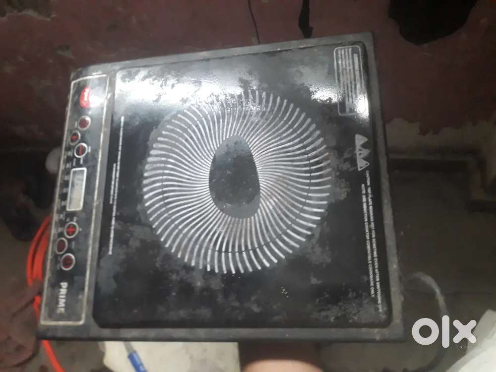 Electric induction 1000