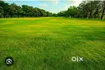 183 YARD plot available for sale
