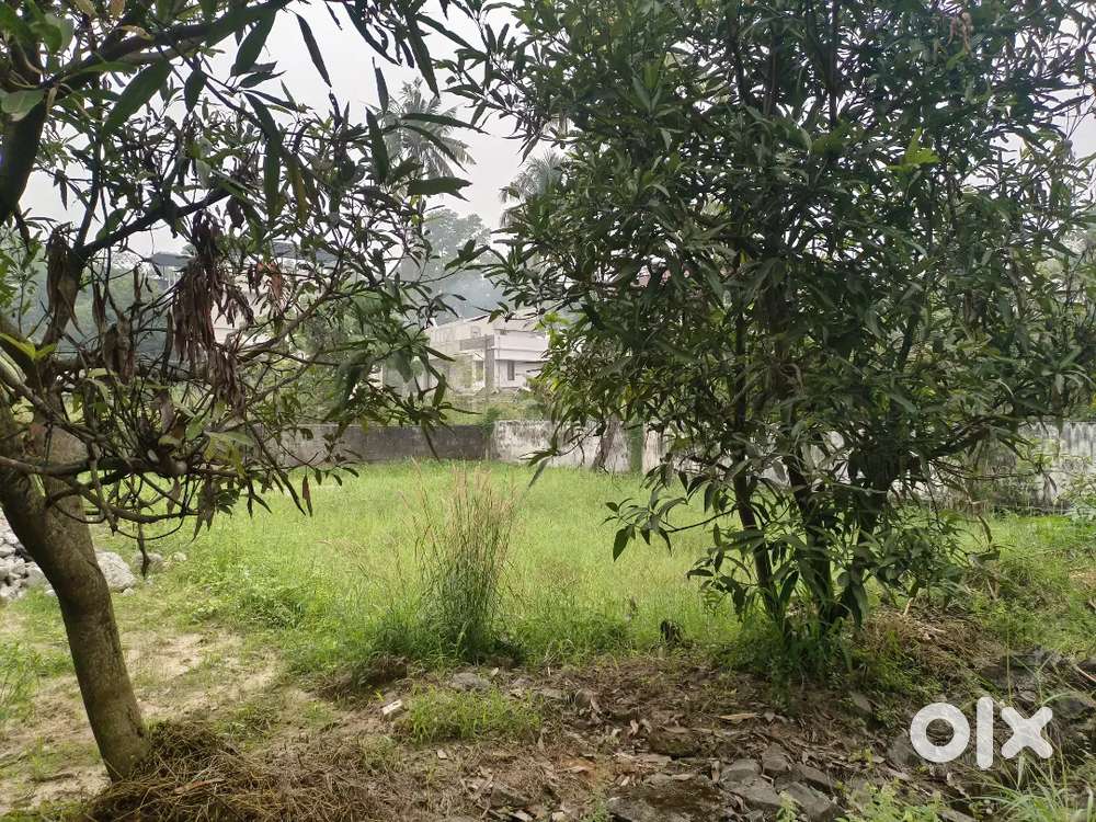 Kakkanad NGO Quotes 7.5 cent plot for sale 3 km from Infopark