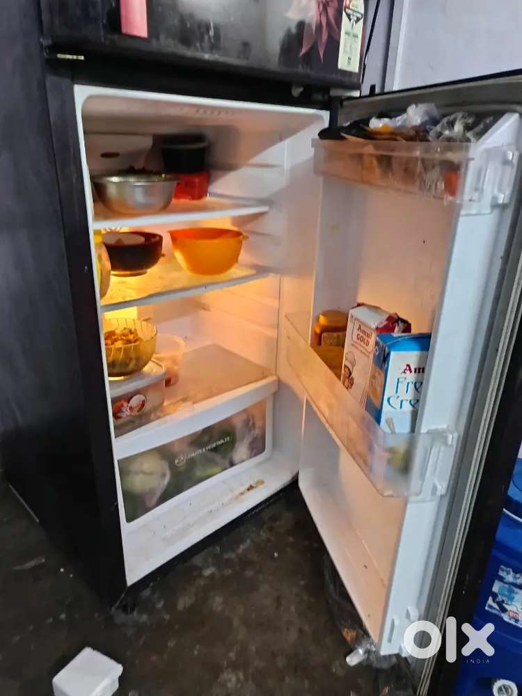 Godrej 231 Ltr