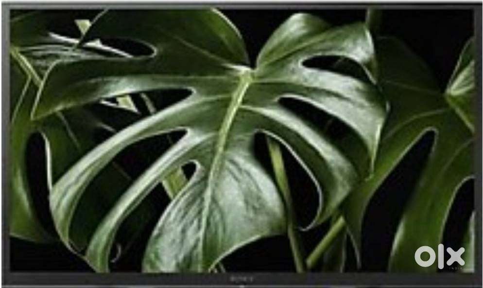 Sony BRAVIA 32 inch LED Full HD TV