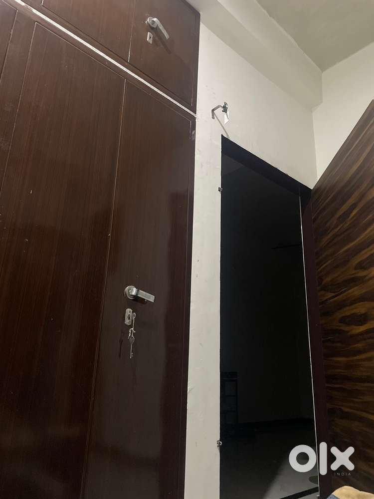 flatmates required only for girls