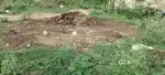 Kanakapura