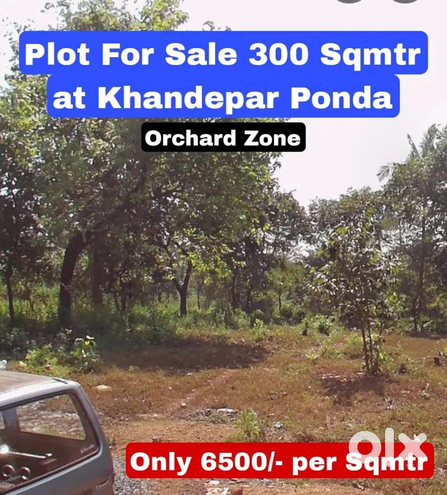 Plot For Sale at Khandepar (300 sqmt - Orchard Plot)