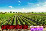 Landforsales