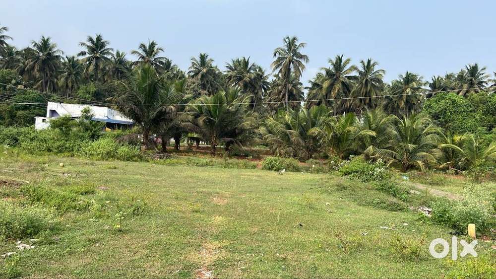 DTCP Site for Sale in R.Ponnapuram