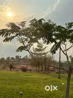 Balaji Group