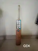 SS SEASONED BAT SALE AGE 10 TO 15 YEARS
