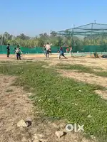 Cricket NET