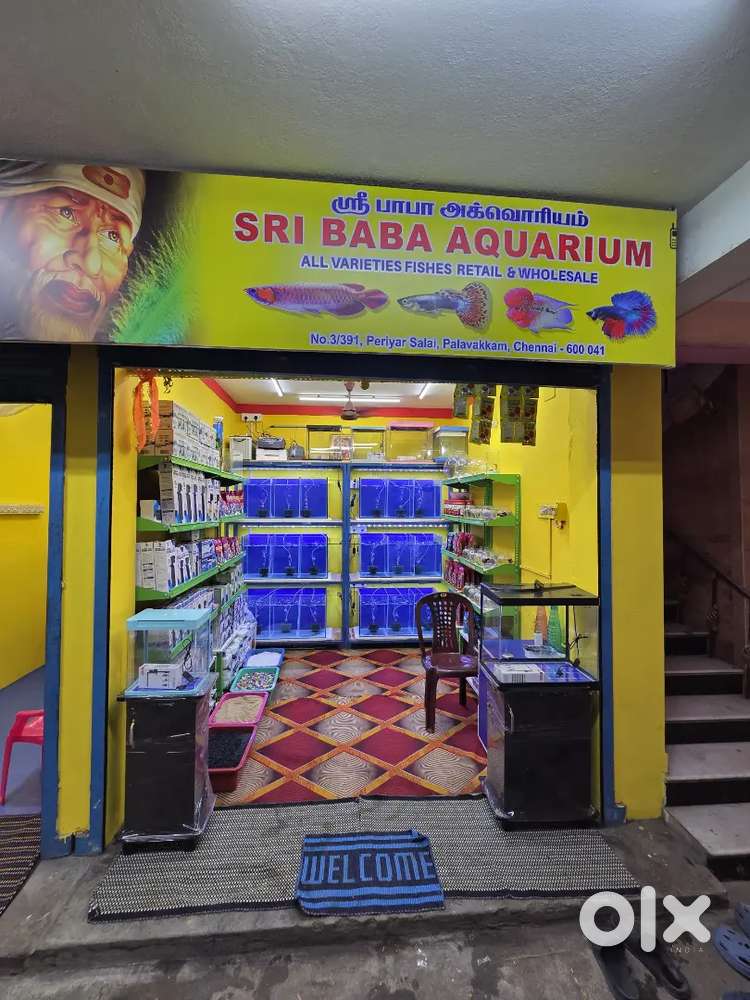 Salesman for showroom