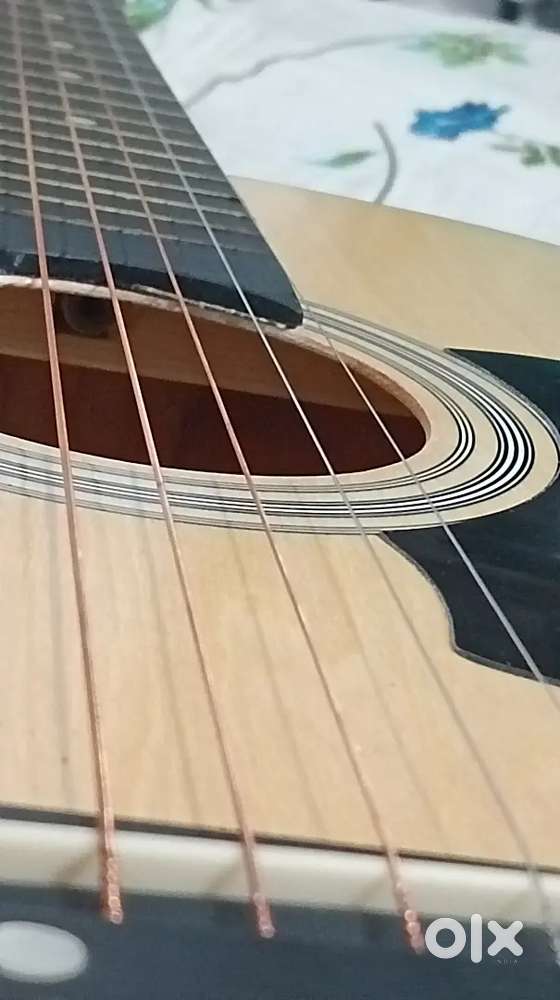 Guitar for beginners & pro
