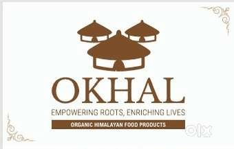 Sales & Marketing Executive