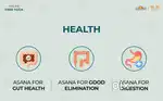 Import Export executive , Registered trainee Pharmacist