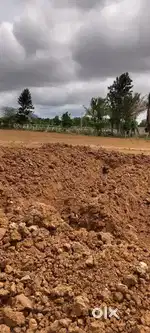 Plots at government value