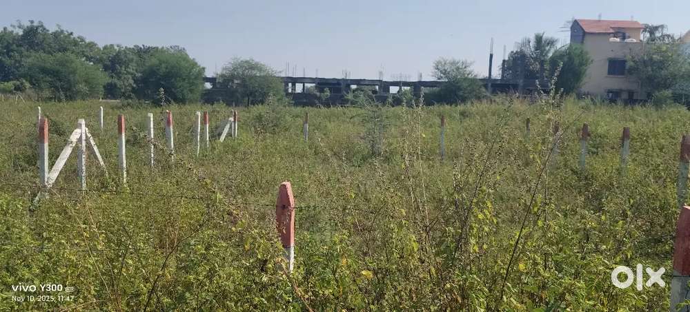 Sarswati Nagar near dvm school