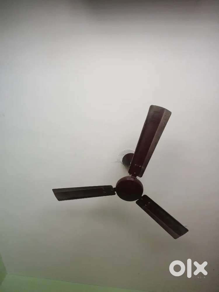 Vasna road near Gokul party plot 2 bhk semifurnished flat rent