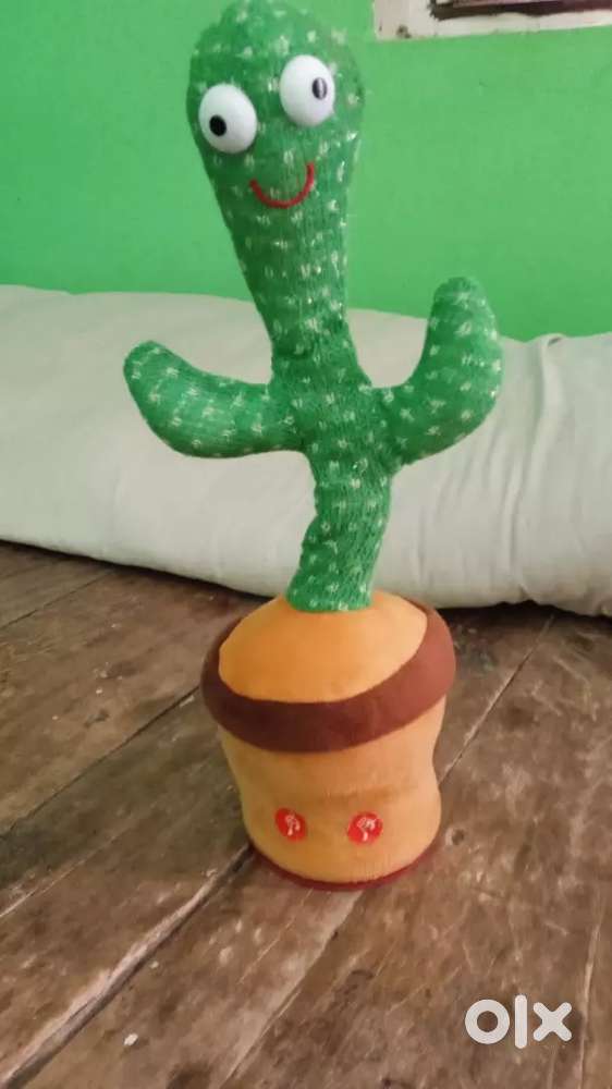 Cactus toy