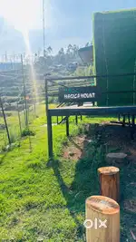 Need malyali cook for cafe,kodaikanal