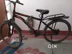 1 year old cycle