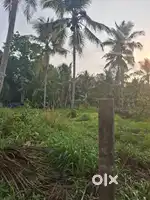 HOUSE PLOT FOR SALE IN KOZHIKODE