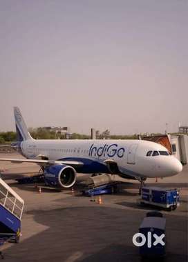 All airport jobs available in Indigo airlines limited seats