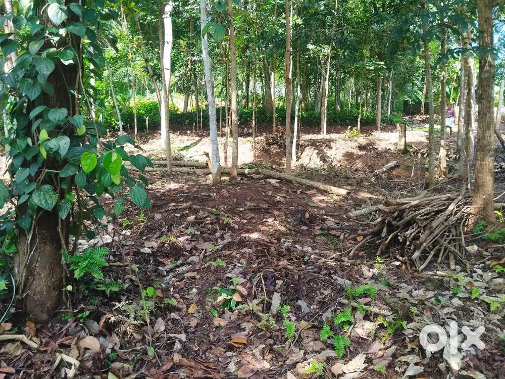 House plot for Sale Perumkadavila – Paliyod Road Side  Negotiable