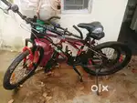 Big  and Small bicycle