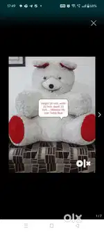 Valentine Gift - Very Big & Beautiful Teddy Bear