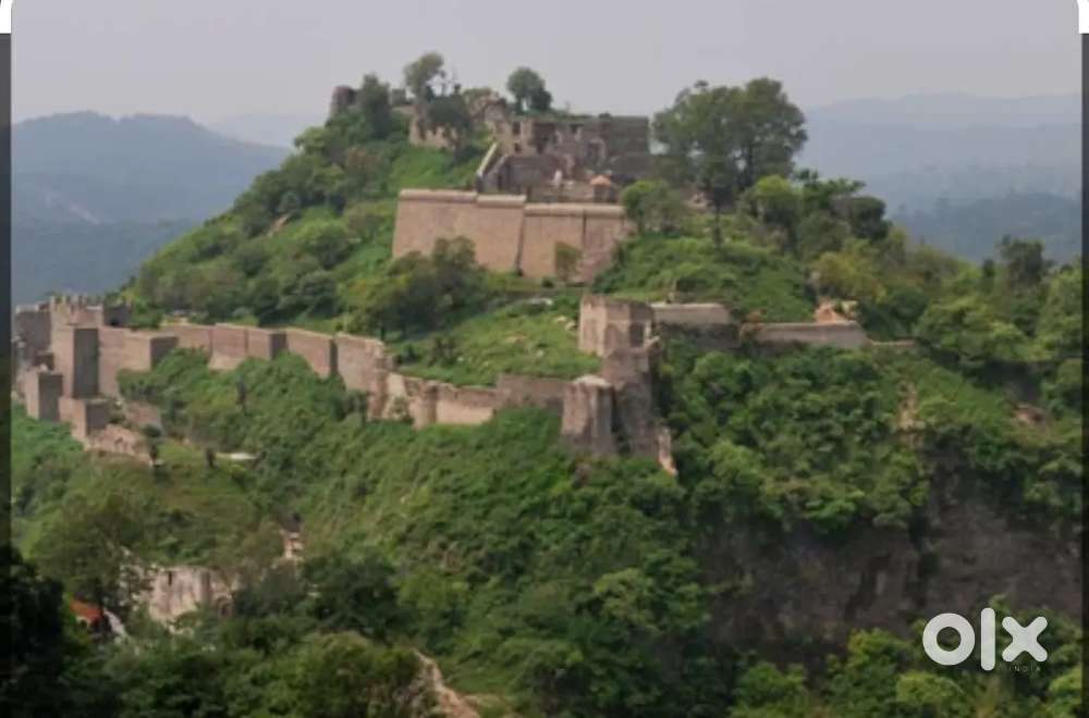 Job for freshers Calling customer service 10th 12th graduation