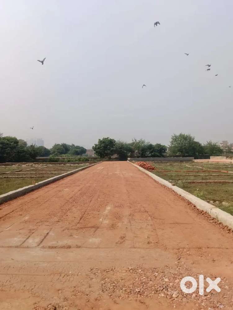 Noida mai Plot