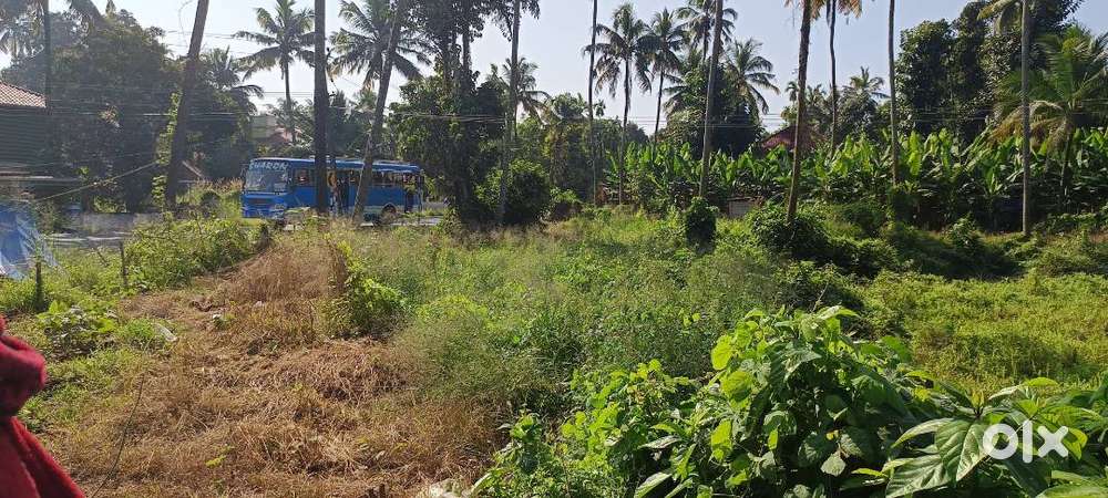 24 Cent Prime Land for Sale – Ideal for Home, Godown, or Farming