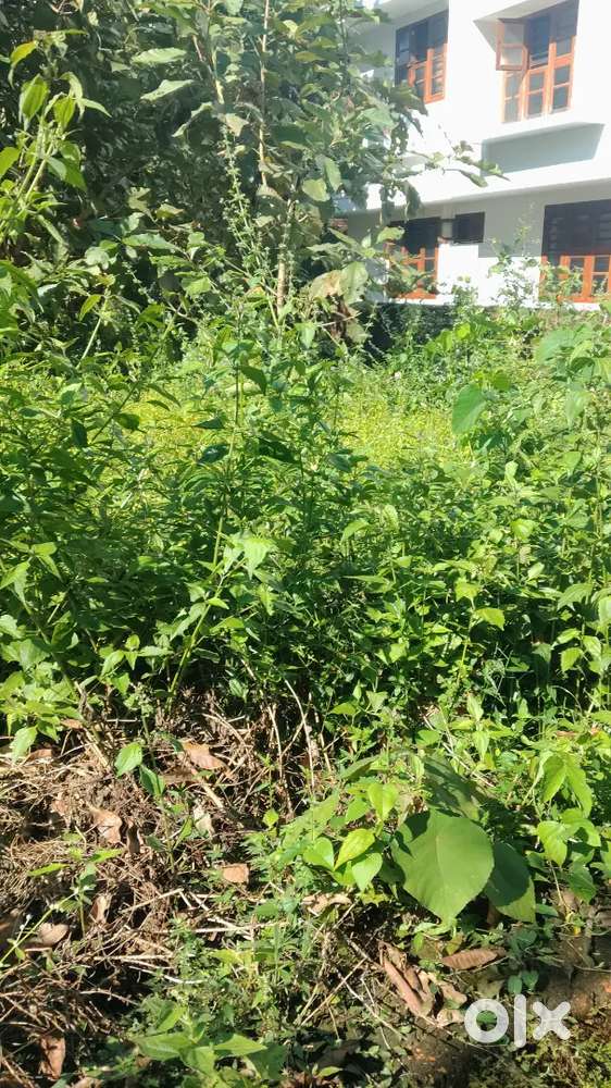 House plot for sale at valiyanur